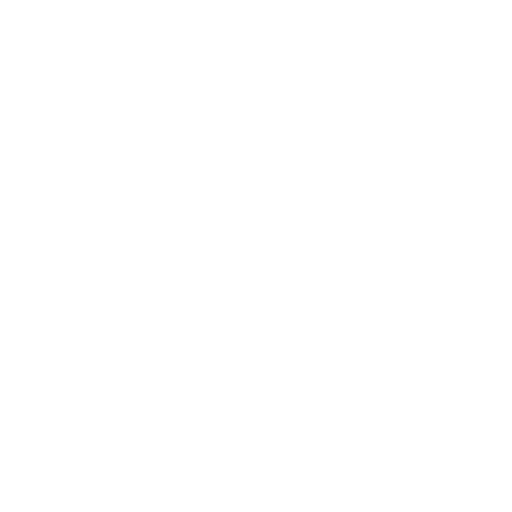 Lady Affairs